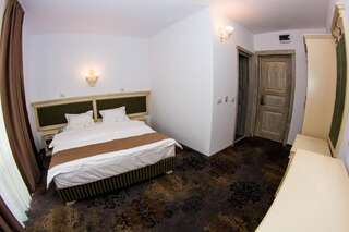 Отель Vila Seva Ватра-Дорней Двухместный номер с 1 кроватью и собственной ванной комнатой-4